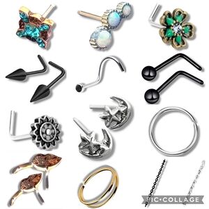NWT Unique Variety Bundle of 17 RARE Nose Jewelry Items